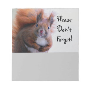 Don't Forget Squirrel Notepad