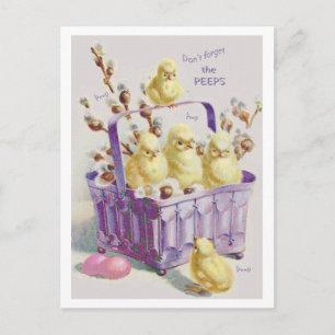 "DON'T FORGET THE PEEPS" EASTER BASKET CHICKS HOLIDAY POSTCARD