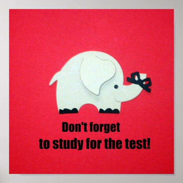 Don't forget to study for the test! poster (Front)