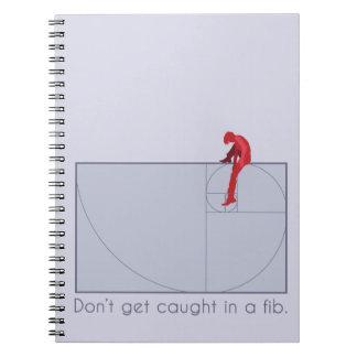 Don't get caught in a fib notebook