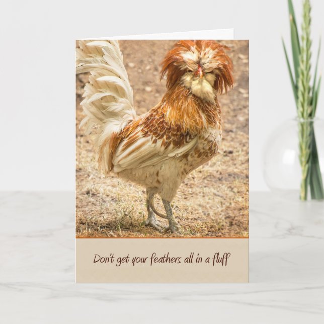 Don't Get Your Feathers All In A Fluff Card (Front)