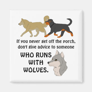Don't Give Advice from the Porch Magnet