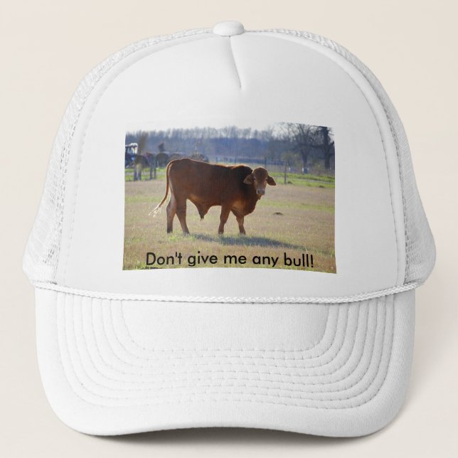 Don't give me any bull! hat (Front)