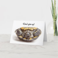 Don't Give Up Upside Down Turtle Encouragement