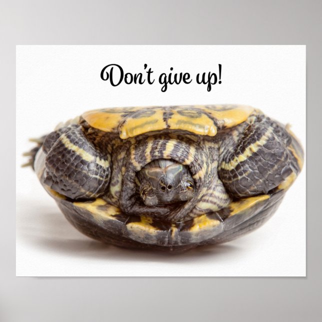 Don't Give Up Upside Down Turtle Encouragement Poster (Front)
