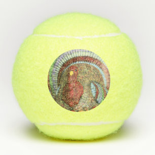 Don't gobble this turkey tennis balls