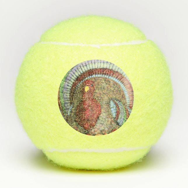Don't gobble this turkey tennis balls (Front)