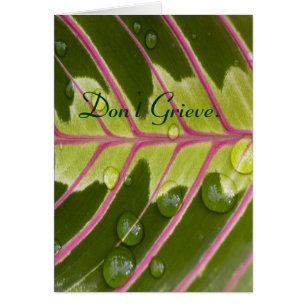 Don't Grieve.