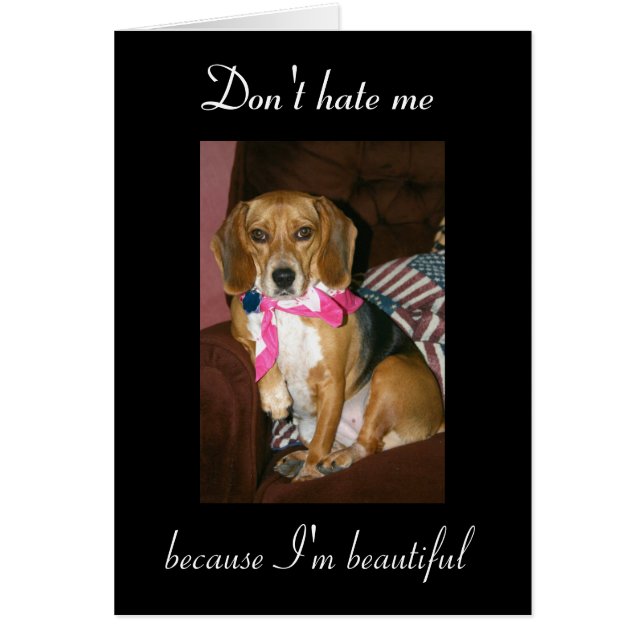Don't hate me, because I'm beautiful (Front)