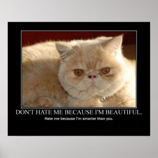 Don't Hate Me...Cat Artwork Funny Poster
