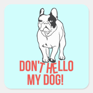 Don't hello my dog! square sticker