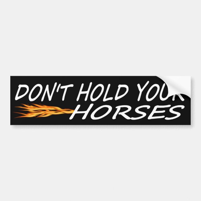 Don't Hold Your Horses Bumper Sticker (Front)