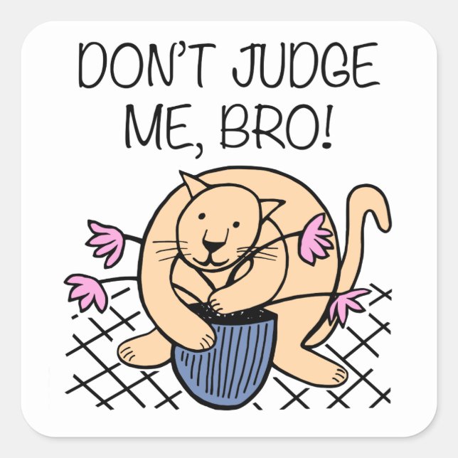 Don't Judge Me Bro Cat Cartoon Square Sticker (Front)