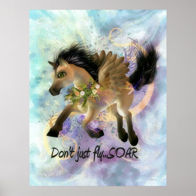 Don't Just Fly SOAR Poster (Front)
