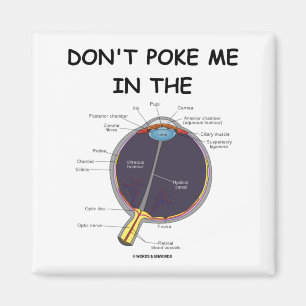 Dont Ke Me In The Eye Eye Anatomy Attitude  Magnet