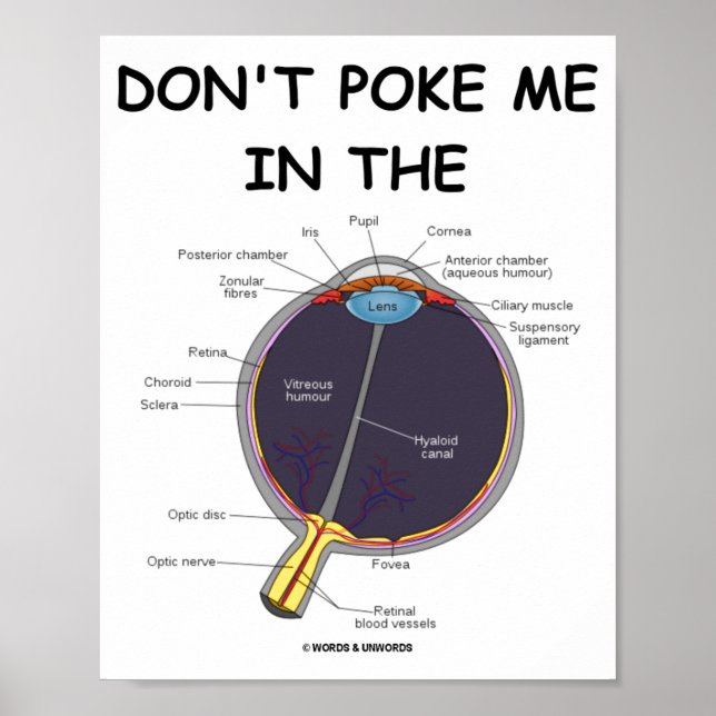 Dont Ke Me In The Eye Eye Anatomy Attitude  Poster (Front)