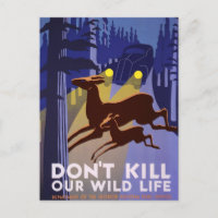 Don't kill our wildlife