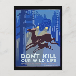 Don't Kill Our Wildlife Vintage Poster Postcard