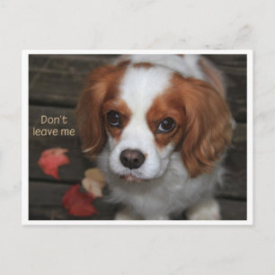 Don't leave me Verlass mich nicht Postcard