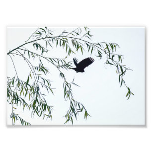 Don't Leave Photo Print