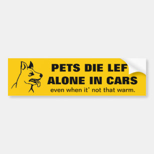 DONT LEAVE YOUR PETS ALONE IN A CAR BUMPER STICKER