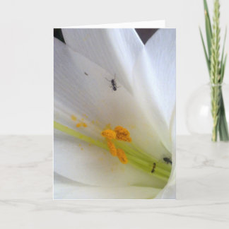 Don't Let the Little Things Get to You... Holiday Card