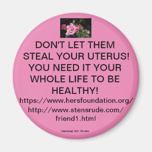 DON'T LET THEM STEAL YOUR UTERUS! MAGNET