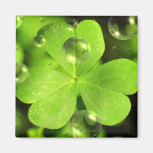 Don't Let Your Luck Wash Away Magnet