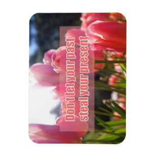 Don't let your past steal your present magnet