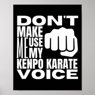 Don't Make Me Use My Kenpo Karate Voice Funny Amer Poster