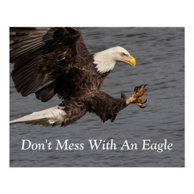 Don't Mess With An Eagle  Poster (Front)
