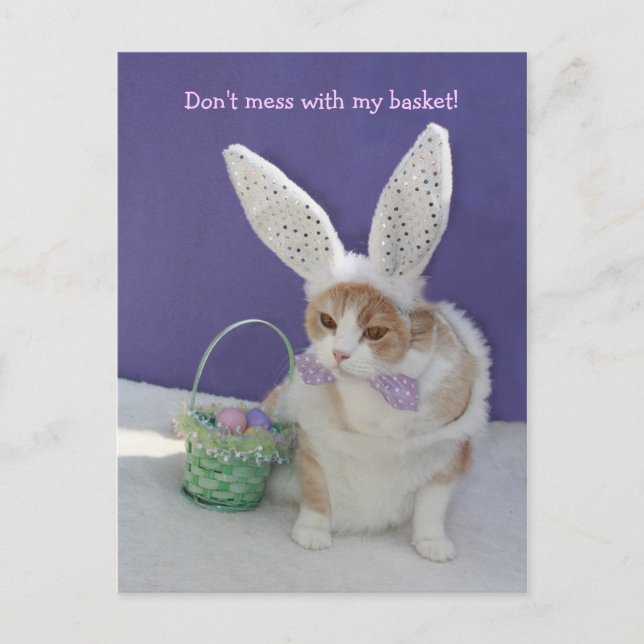 Don't Mess with My Basket! Postcard (Front)