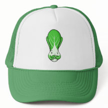 Don't Mess with the Bok (hat)