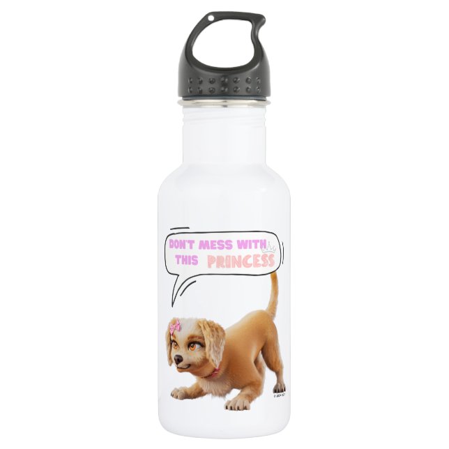 Don't Mess with This Princess 532 Ml Water Bottle (Front)