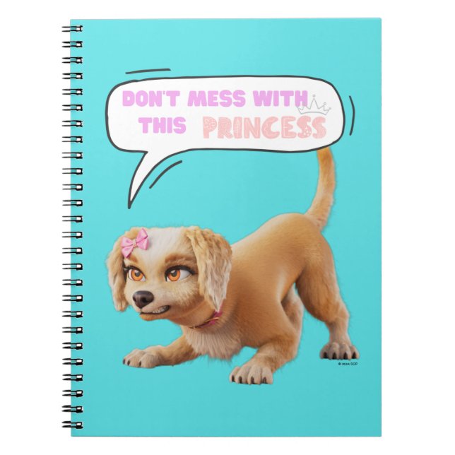 Don't Mess with This Princess Notebook (Front)