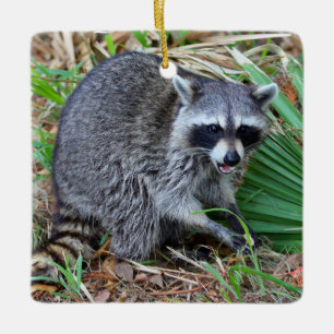 Don't Mind Me, Just Passing Through Ceramic Ornament