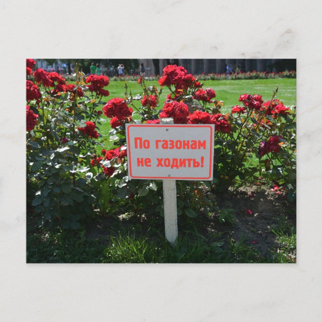 Don't Pick the Flowers, St. Petersburg, Russia Postcard (Front)