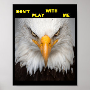 Dont Play With Angry Eagle  Poster