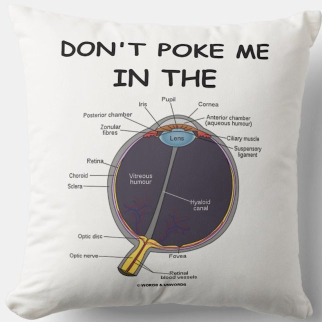 Don't Poke Me In The (Eye Anatomy) Humour Cushion (Anatomical attitude featuring human eye anatomy w/ the saying "Don't Poke Me In The [Eye]")