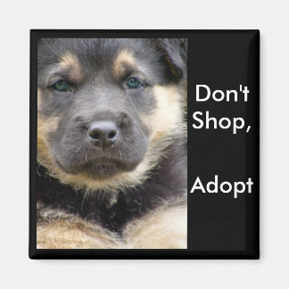 Don't Shop Adopt ! shep magnets
