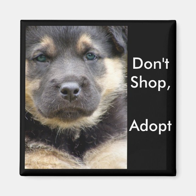Don't Shop Adopt ! shep magnets (Front)