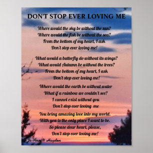 DON'T STOP EVER LOVING ME POSTER