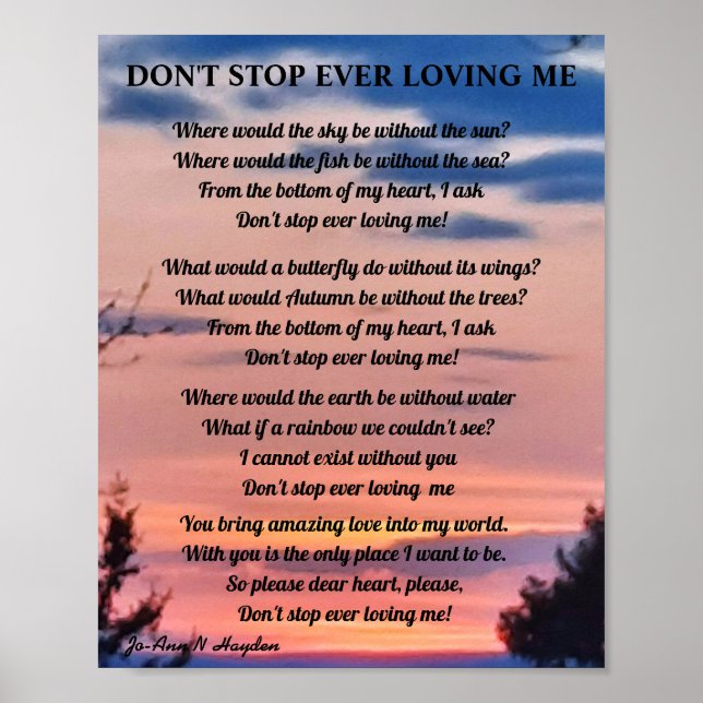 DON'T STOP EVER LOVING ME  POSTER (Front)