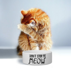 Don't Stop Me Meow   Fun Quote Black White Script Bowl