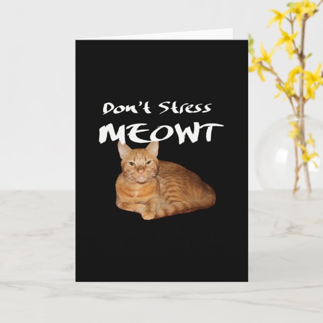 Don't Stress Meowt - Orange Cat Stress Me Out Card (Yellow Flower)
