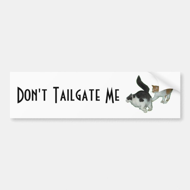 Dont tailgate me Cats chasing Bumper Sticker (Front)