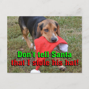 Don't Tell Santa I Stole His Hat Beagle Christmas Holiday Postcard
