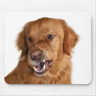 Don't touch my computer! mouse pad