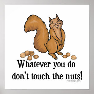 Don't touch the nuts! Squirrel Poster