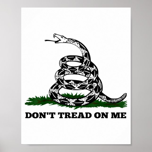 Don't Tread On Me 2nd Amendment Patriotic New Nove Poster (Front)